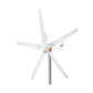 Windturbine 500W