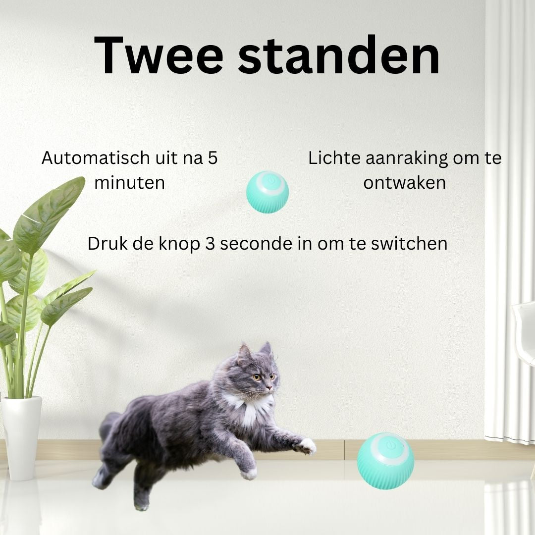 Slimme Interactieve Zelfrollende Bal
