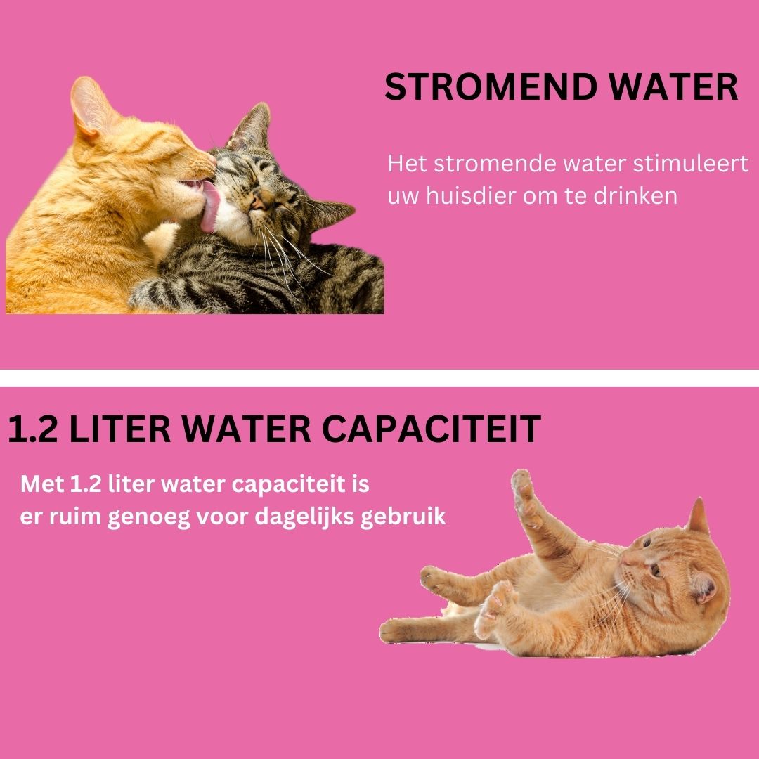 Waterfontein voor Katten