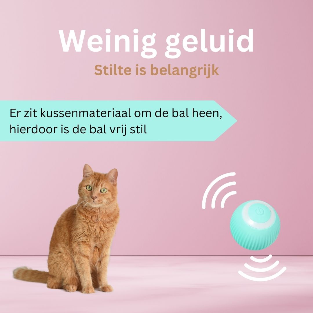 Slimme Interactieve Zelfrollende Bal