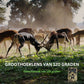 Wildcamera met nachtzicht