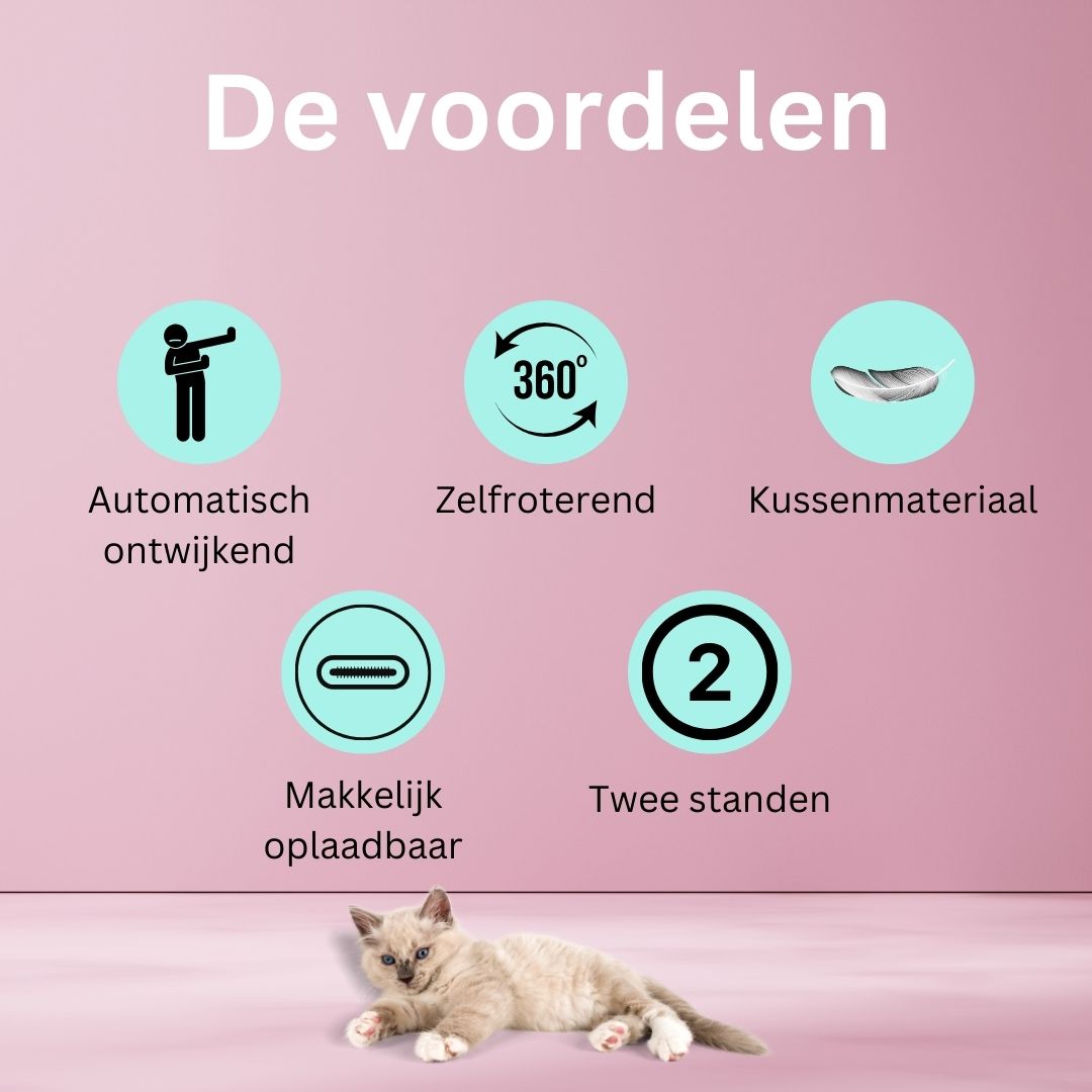 Slimme Interactieve Zelfrollende Bal