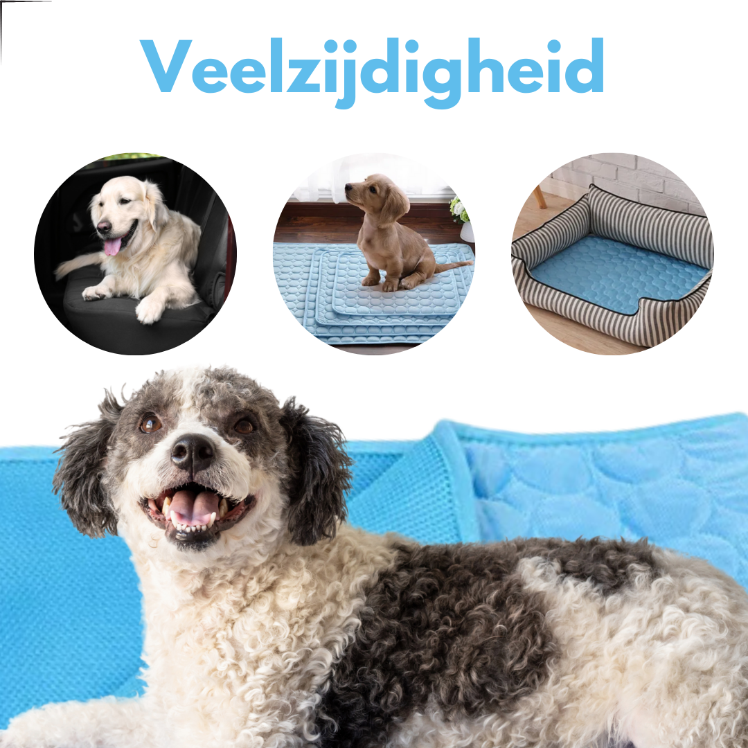 Koelmat Voor Honden