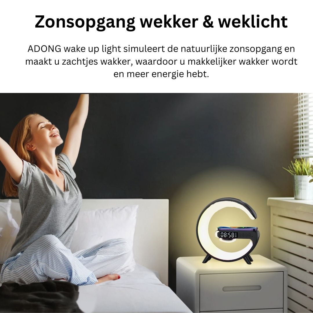 Wake up light PRO Versie