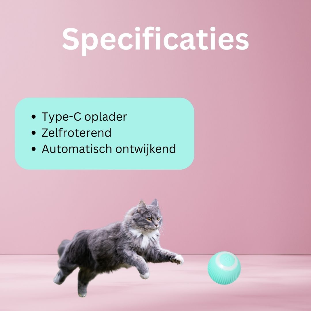 Slimme Interactieve Zelfrollende Bal