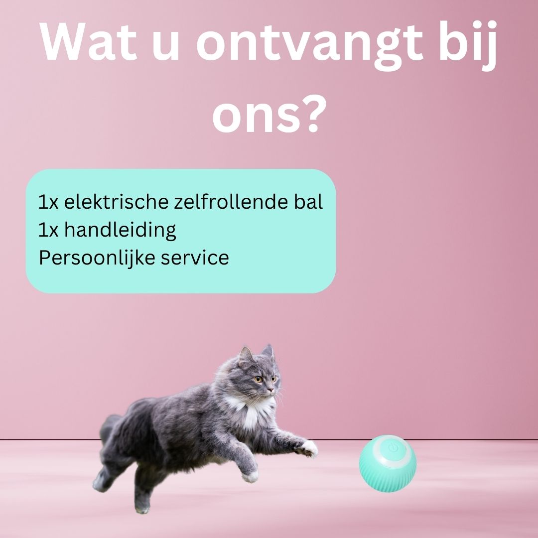 Slimme Interactieve Zelfrollende Bal
